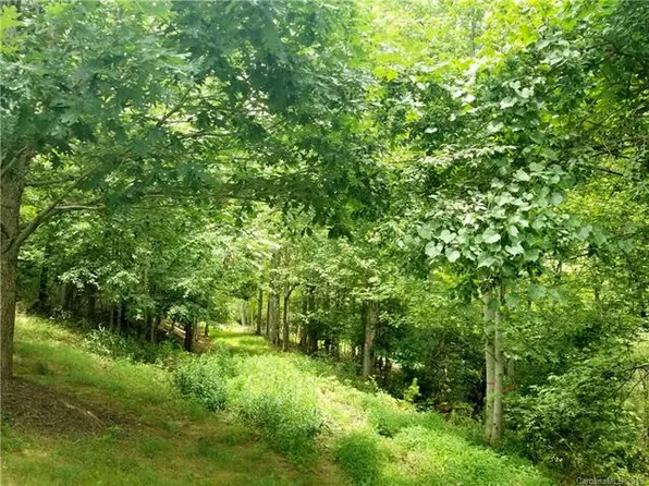 133 Walnut Valley Pkwy, Arden, NC 28704