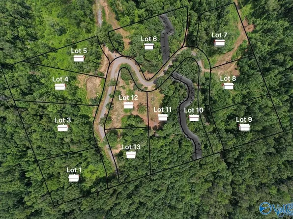 LOT 5 Wyeth Dr, Guntersville, AL 35976