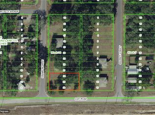 21006 Franklin Dr, Dade City, FL 33523