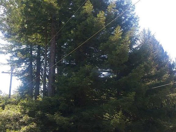 4th image of 0 Knotty Pine Ln