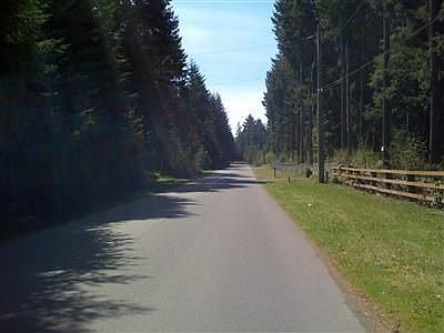 Home is located on paved road with other homes on large lots/acreage.  Tall tr
