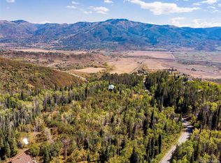 30450 Elk Ln, Steamboat Springs, CO 80487