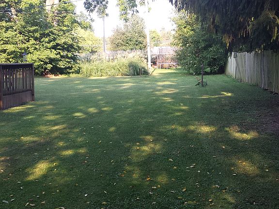 Back yard