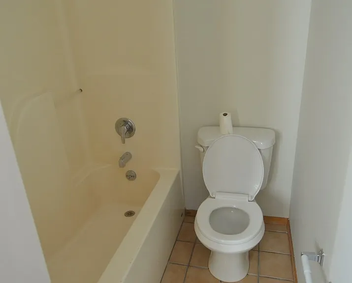 214 Spruce St #A-D — Photo 42