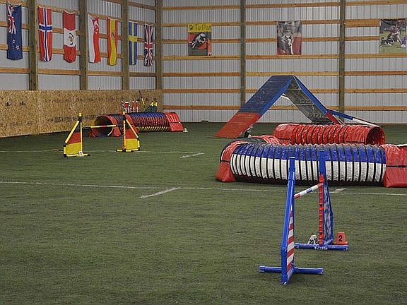 Arena with artificial turf