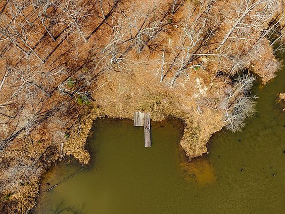 44th image of this home