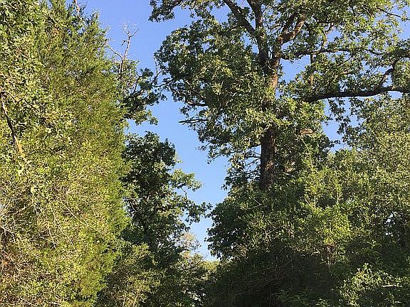 3rd image of 0 Private Road 4055