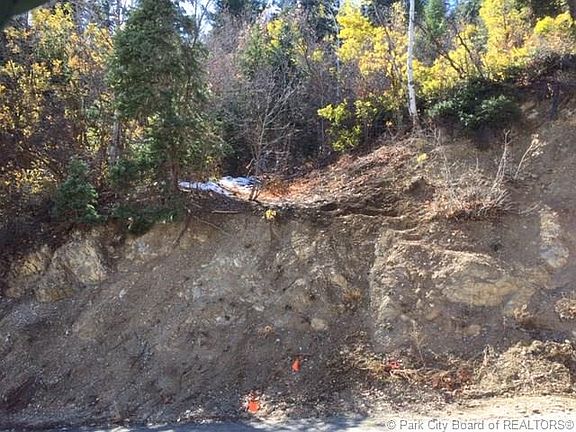 4th image of 345 Upper Evergreen Dr