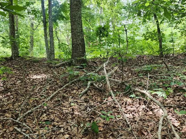 18 Locust Cv, Holladay, TN 38341