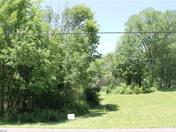 V/l Frost Rd, Streetsboro, OH 44241