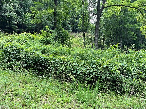3rd image of 0 Bates Creek Rd