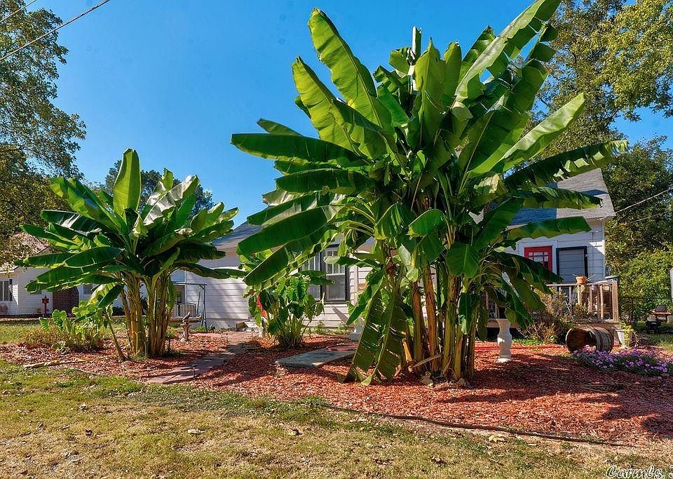 305 Austin St, Pangburn, AR 72121 MLS 22033355 Zillow