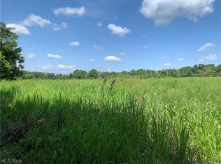 Vandemark Rd, Lodi, OH 44254