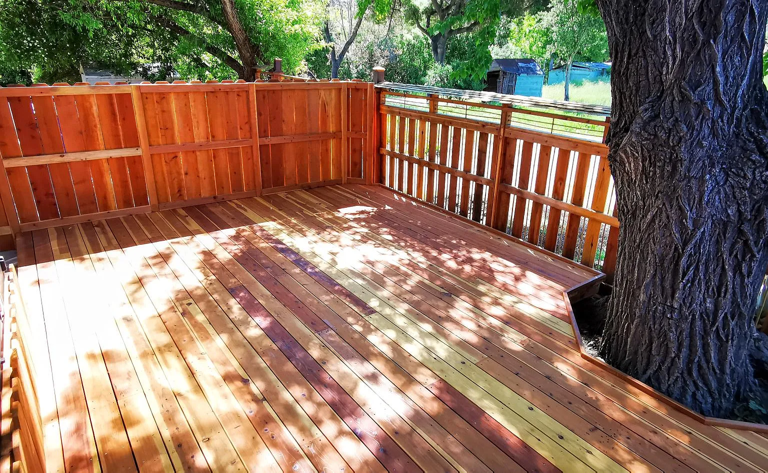 5540 Olinda Rd — Photo 4