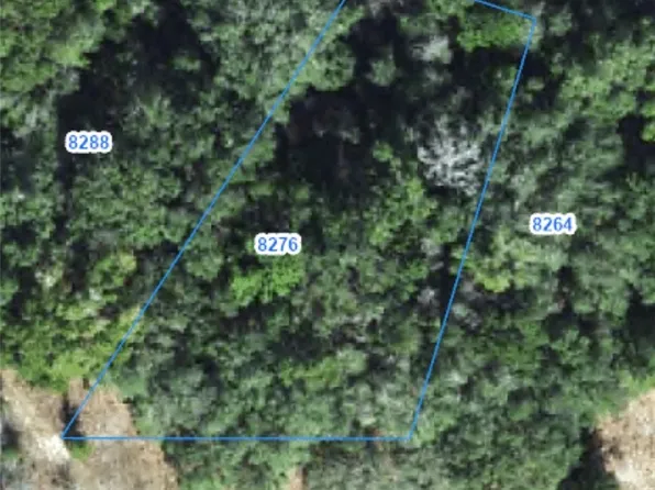 8276 N Elida Ave, Citrus Springs, FL 34434