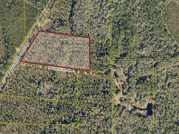 LOT 4 NW Falling Creek Rd, Lake City, FL 32055