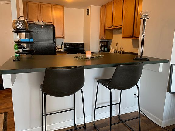 4th image of 1636 N Wells St APT 703