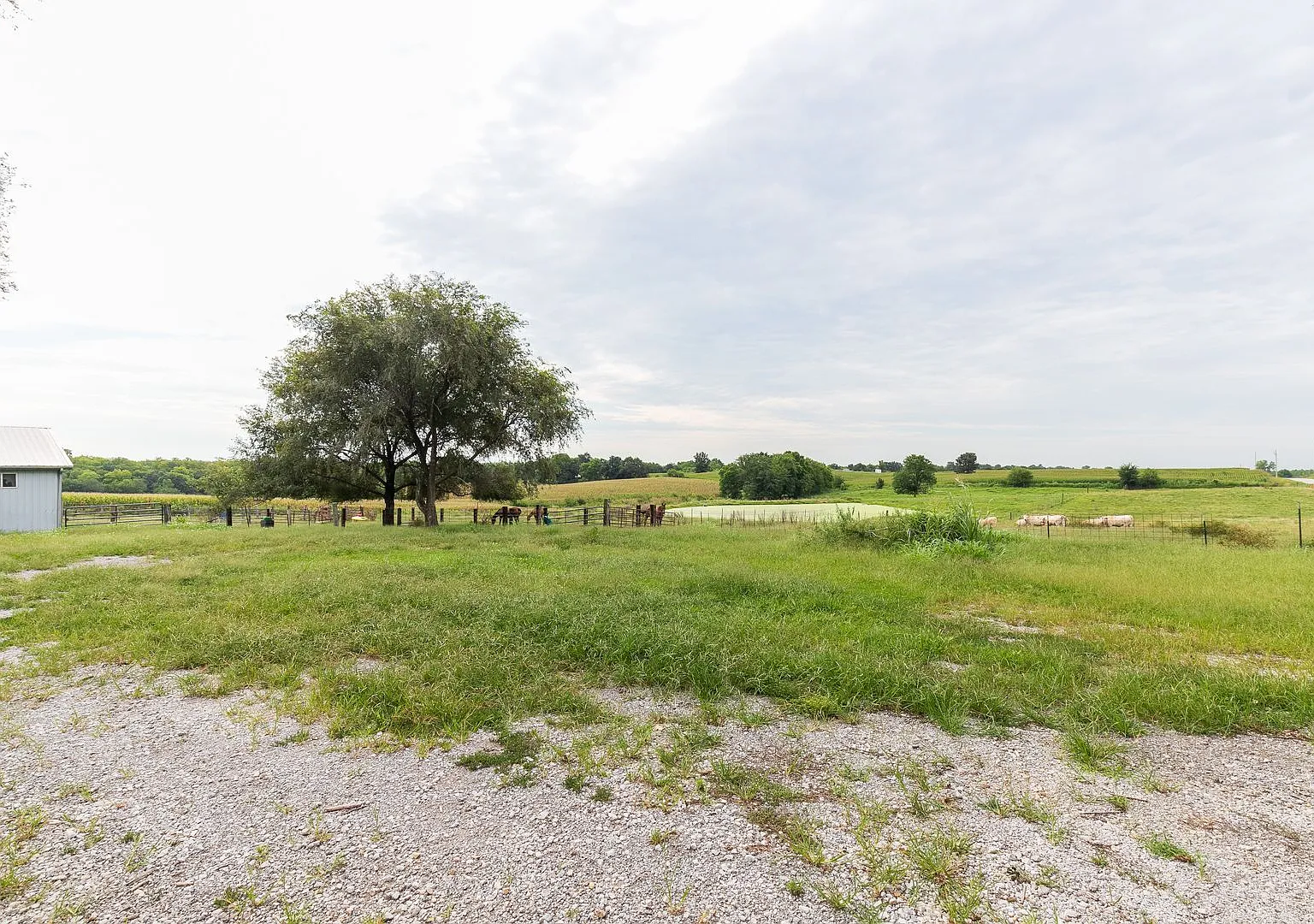 Country 3 Bed 2 both home in Excelsior — Photo 4