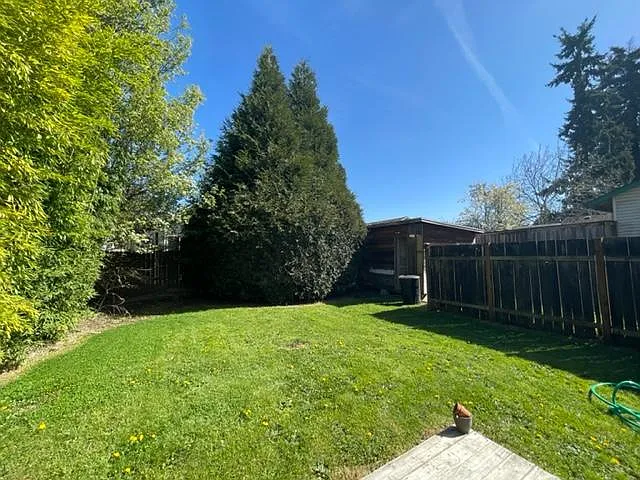 Bakyard shed and play lawn.