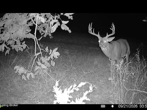 3rd image of 4911 Chaplin Rd