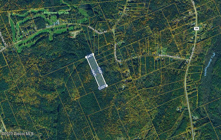 154 Alpine Meadows Road, Porter Corners, NY 12859 MLS 202320893 Zillow