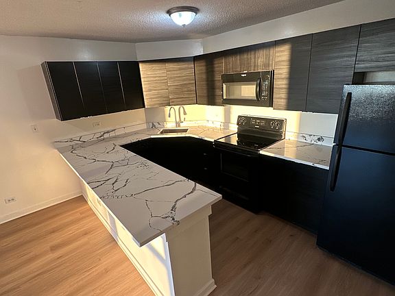3rd image of 1143 N Wells St #17G