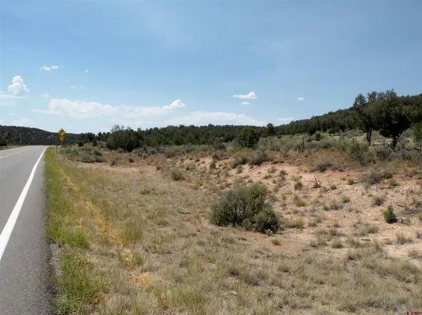 West side Highway 141, Naturita, CO 81422