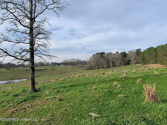 2nd image of 79 Adron Boyd Rd