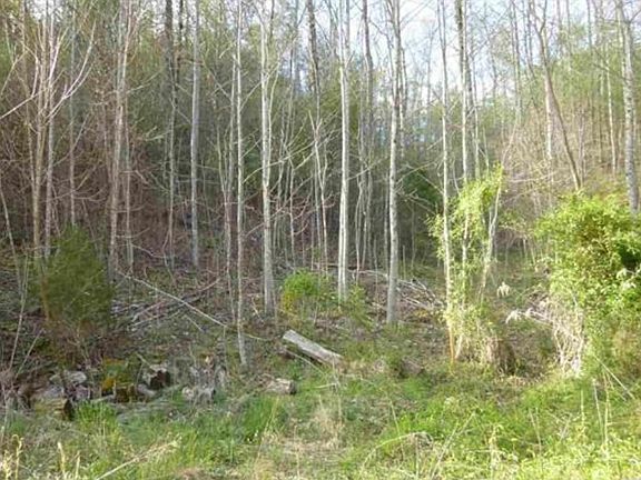 2nd image of Township Road 5 Mossy Cove Way