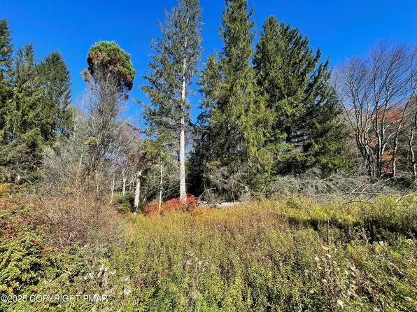 A1319 W Mud Run Rd, Albrightsville, PA 18210