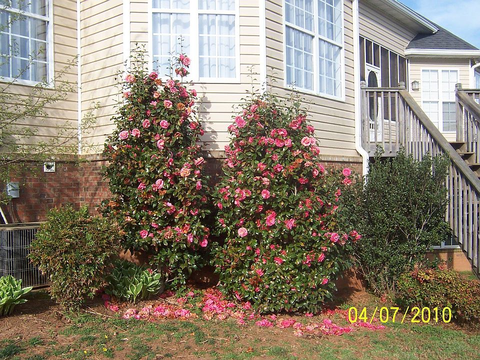 2nd image of 280 Gardner Rd