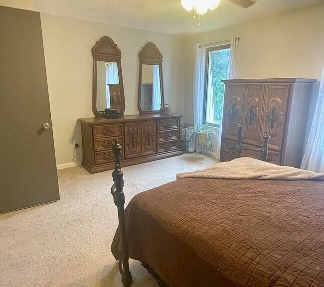 Primary bedroom view with carpeted flooring, natural light, and closet access.