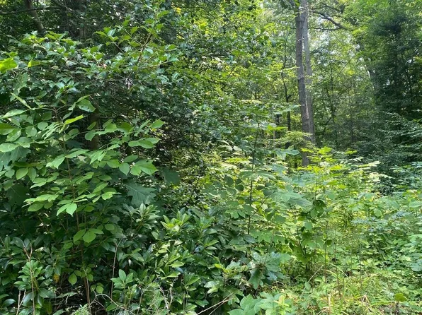 12017 Mastbrook Ln, Manassas, VA 20112