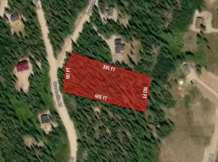 8 Peterson Dr, Alma, CO 80420