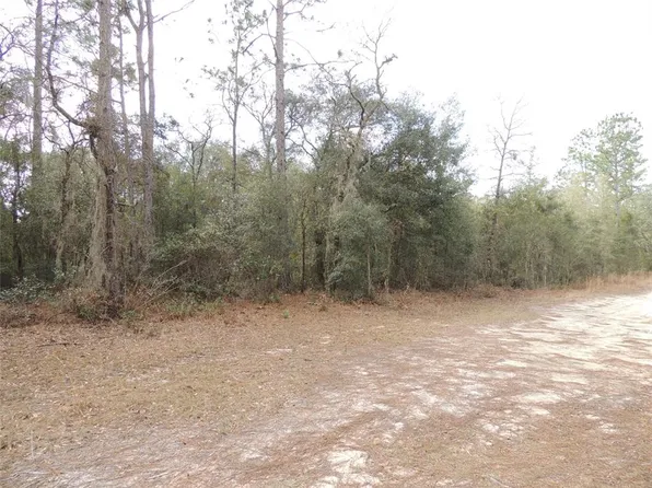 11350 NE 73rd Ln, Bronson, FL 32621