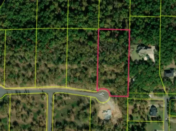 1320 Sawyer Ln, Conway, AR 72032