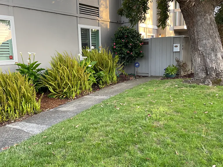 1504 Dolphin Dr — Photo 13