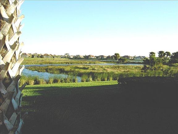 Backyard view to bird sanctuary