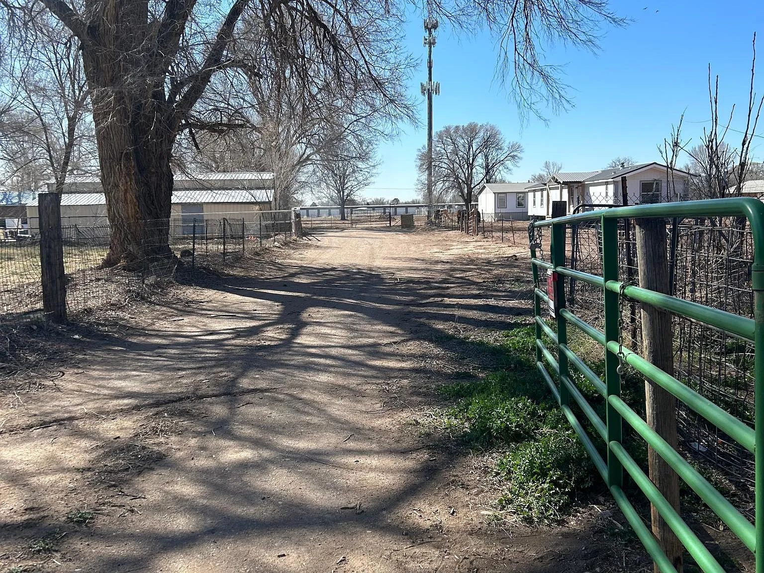 3 bed, 1500 sqft, $2,000 — Photo 2