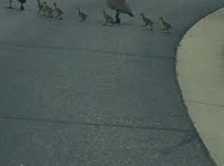 1957 Waterford Pl SW, Rochester, MN 55902