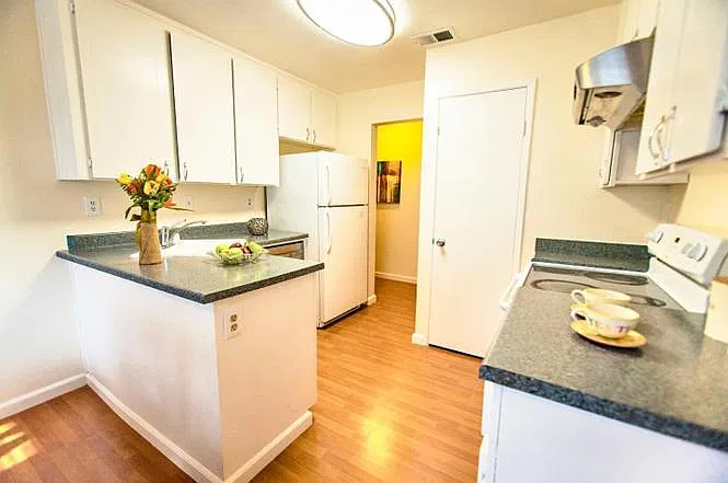 2607 Gimelli Pl — Photo 3