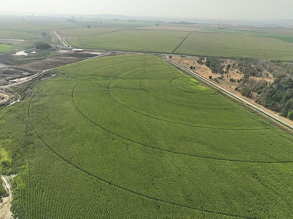 18605_Adams-County-Washington-Row-Crop-Farm-383-Acres (5)