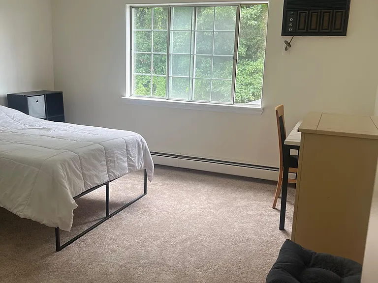 Spacious furnished bedroom with a large window, ceiling fan, and room for a desk or seating area.