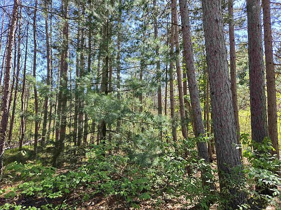 3rd image of LOT 204 Raven Dr