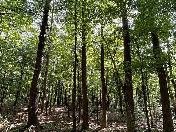 3rd image of LOT 20 Haverhill Ct