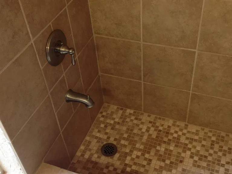 Master Shower/Tub