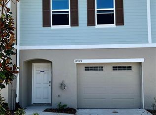 10909 Flying Squirrel Ave, Tampa, FL 33610