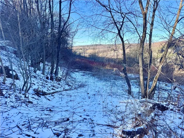 0 County Highway 6 Lot 5, Otego, NY 13825