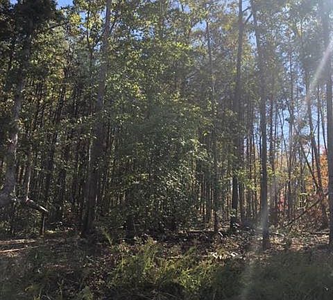 4th image of 138 Brawley Woods Ln