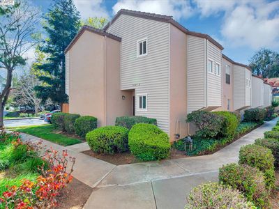 1403 Bel Air Dr APT A, Concord, CA, 94521